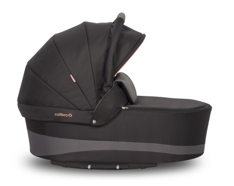 FOCUS 2w1 Colibro wózek wielofunkcyjny - INK