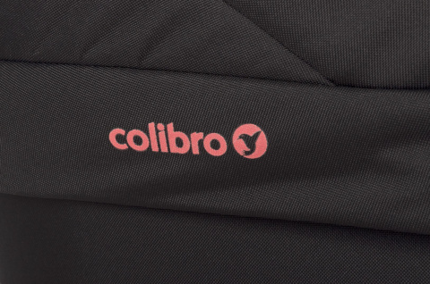 FOCUS 2w1 Colibro wózek wielofunkcyjny - INK