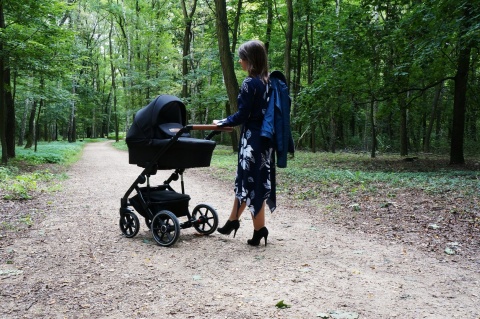 LINE 2.0 Bexa 2w1 wózek wielofunkcyjny - kolor L04