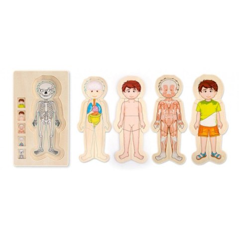 Puzzle anatomia ludzkie ciało chłopiec ONSHINE