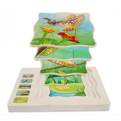 Puzzle warstwowe motyl Onshine