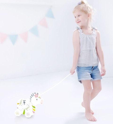 Zebra do ciagania ONSHINE