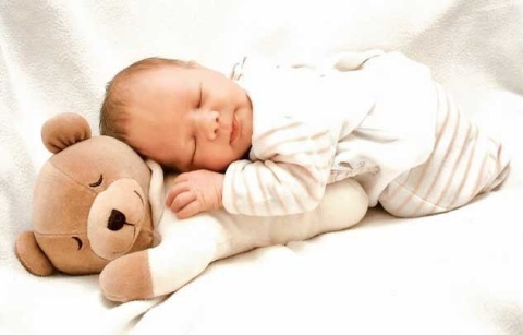 PRINCE LIONHEART Miś do usypiania i uspokajania Tummy Sleep