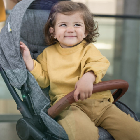 HAUCK EAGLE 4S Wózek spacerowy z przekładanym siedziskiem do 25 kg - MELANGE GREY