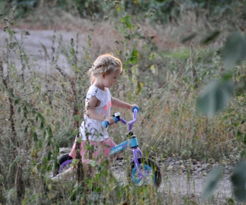 Rowerek Biegowy Dragon Air Mint