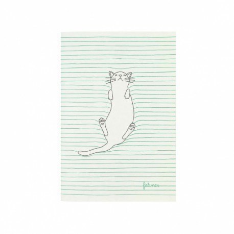 Mały zeszyt - koty - feline fine (green) SANTORO LONDON