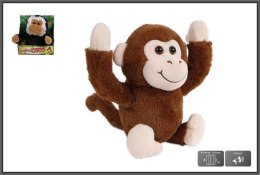 Małpka fikająca 25cm 2 kolory cena za 1szt