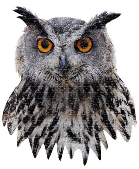 MADD CAPP, Puzzle konturowe I AM - Sowa 550 elem.