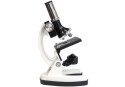 Mikroskop Dziecięcy Walizka Nauka 300x 600x 1200x