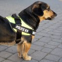 Szelki dla psa mocne M 55-66cm Police K9 zielone
