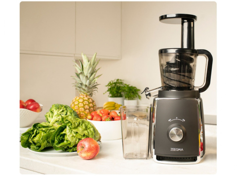 ZEEGMA SAP Wyciskarka wolnoobrotowa do soków