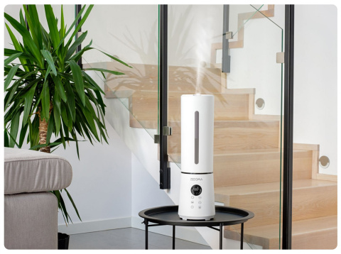 ZEEGMA VERS ION WHITE Nawilżacz powietrza Higrometr Jonizacja