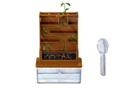 Edukacyjny Zestaw Uprawa Roślin Słoneczna Labirynt DIY