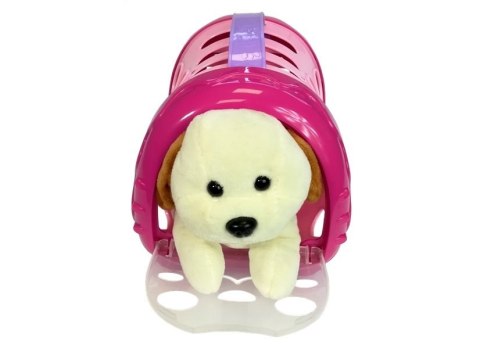 Zestaw Weterynarz Pies w Torbie Transporter + Akcesoria