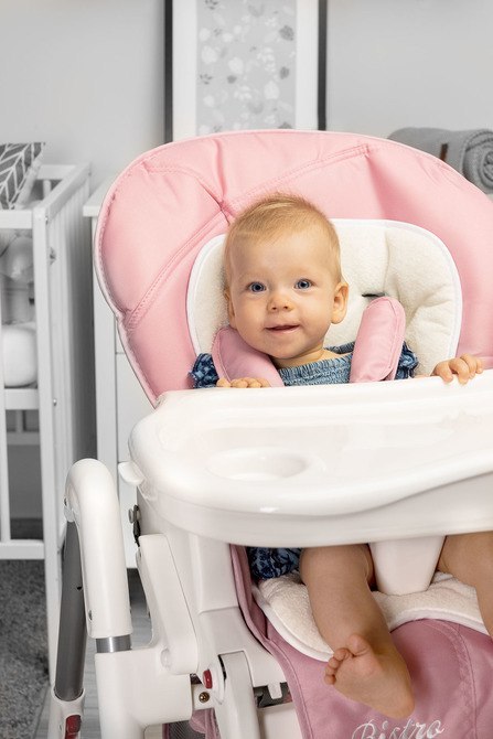 KRZESEŁKO DO KARMIENIA BISTRO 2019 GRAPHITE CARETERO