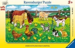 Puzzle 15el ramkowe Zwierzęta domowe 060467 RAVENSBURGER p24