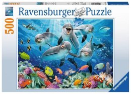 Puzzle 500el Delfiny 147106 RAVENSBURGER p6