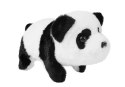Interaktywna Panda Czarno-Biała Chodzi Otwiera Buzie Wydaje dźwięki na Baterie