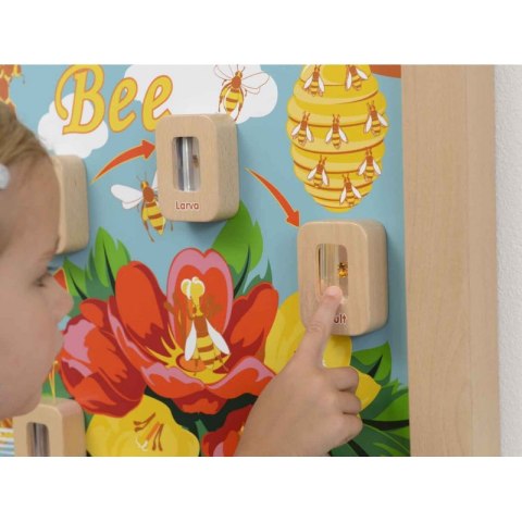 MASTERKIDZ Cykl Życia Pszczoły Ścienna Tablica Edukacyjna Flex Montessori