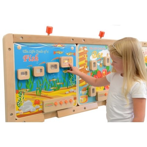 MASTERKIDZ Cykl Życia Ryby Tablica Edukacyjna Podświetlana