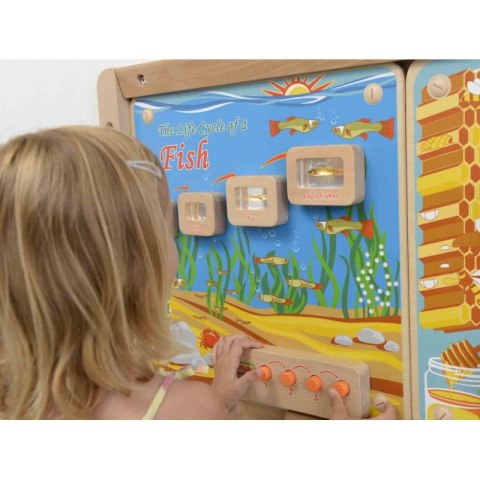 MASTERKIDZ Cykl Życia Ryby Tablica Edukacyjna Podświetlana