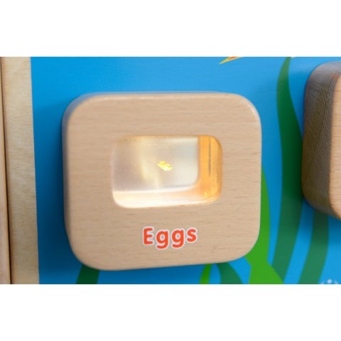 MASTERKIDZ Cykl Życia Ryby Tablica Edukacyjna Podświetlana