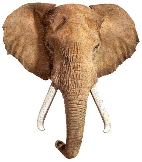 Puzzle Konturowe Madd Capp Słoń 300 Elementów