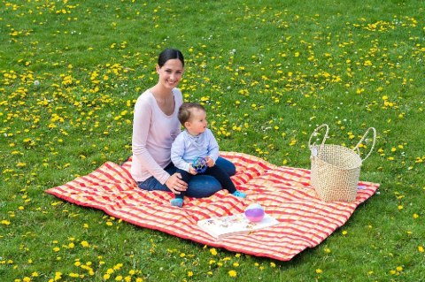 Amazonas Koc piknikowy Molly