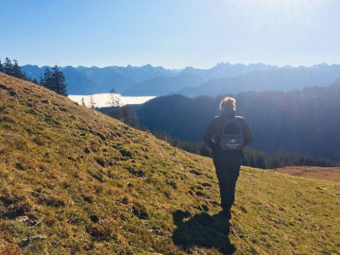 Amazonas Plecak Adventure Daypack Stone