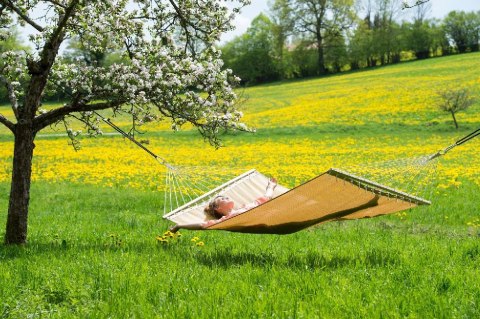 Amazonas Hamak Tropic Dream