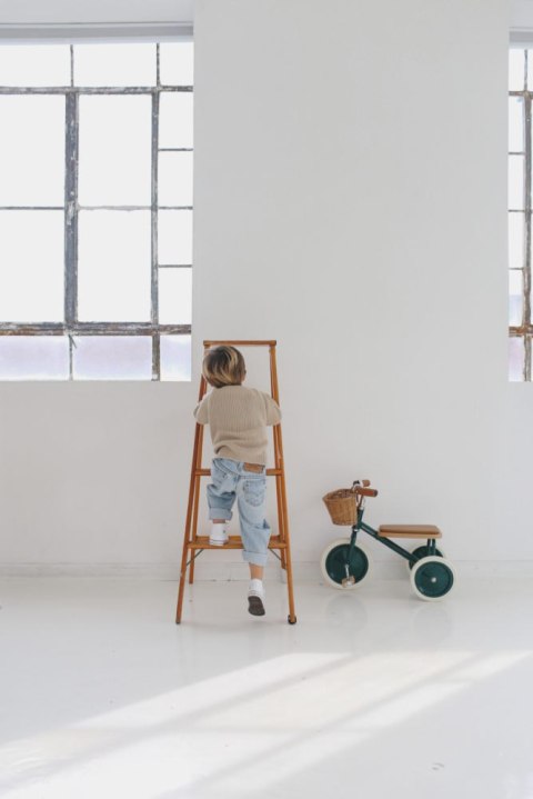 Banwood Rowerek trójkołowy Trike Dark Green