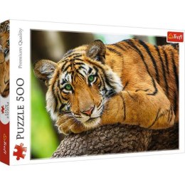 Puzzle 500el Portret tygrysa 37397 Trefl p8