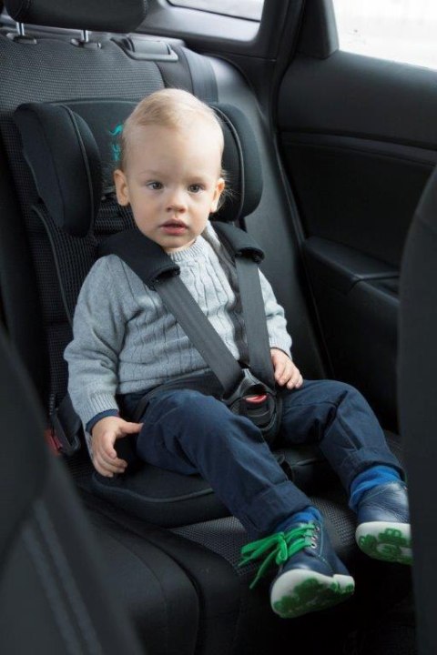 Urban Kanga Fotelik samochodowy Castor Grey