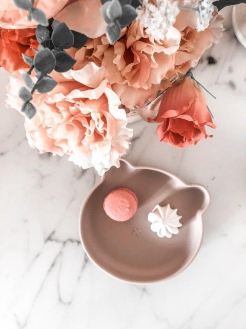 B-Talerzyk silikonowy Bear z przyssawką Pink