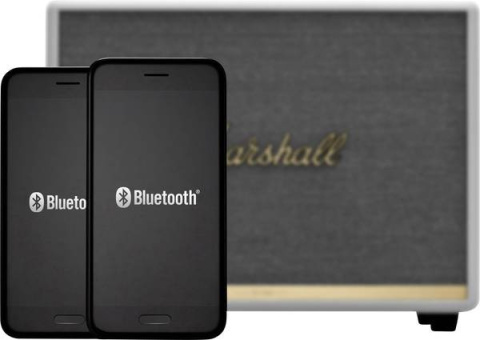 Głośnik przenośny Marshall Woburn II BT White
