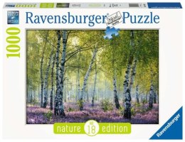 Puzzle 1000el Brzozowy las - Nature edition 167531 RAVENSBURGER p5