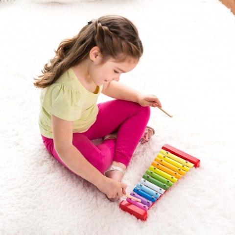 CLASSIC WORLD Dzwonki Cymbałki Ksylofon