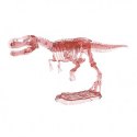 Wykopaliska, świecący szkielet dinozaura - MOSES