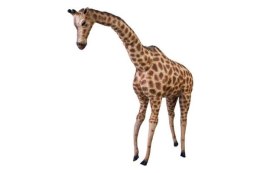 Żyrafa gigant 66cm 21544