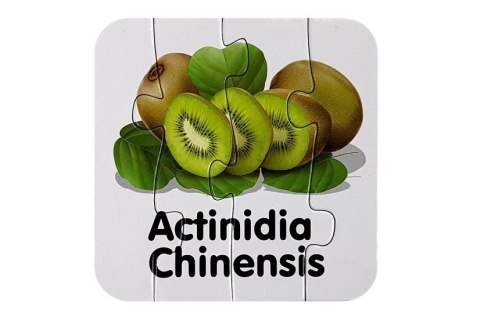 Puzzle Edukacyjne Układanka Owoce 10 Połączeń Nauka Angielskiego