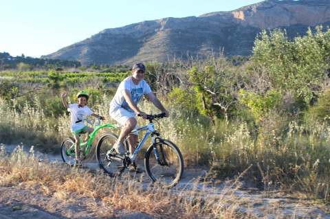 WeeRide Co Pilot - rower doczepiany [ przyczepka, doczepka, hol ] - biały