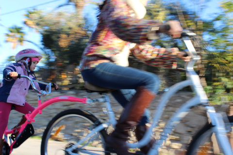 WeeRide Co Pilot - rower doczepiany [ przyczepka, doczepka, hol ] - biały