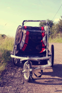 GUTO Deluxe 2w1 przyczepka rowerowa, doczepka, wózek dwuosobowy - czerwony