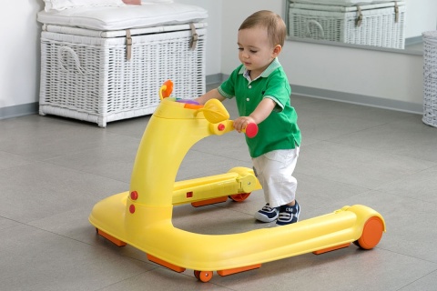 Wielofunkcyjny chodzik 123 Chicco 6m+ Green