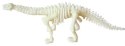 Bones&More, Duży szkielet dinozaura - wykopalisko odcisk łapy