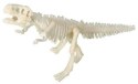 Bones&More, Duży szkielet dinozaura - wykopalisko odcisk łapy