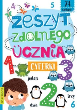 Książeczka Zeszyt zdolnego ucznia Cyferki Books and fun