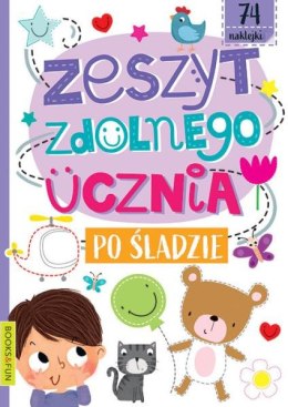 Książeczka Zeszyt zdolnego ucznia Po śladzie Books and fun