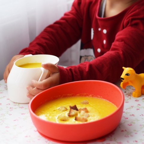 Miseczka-Talerzyk Doidy Bowl z przyssawką - różany