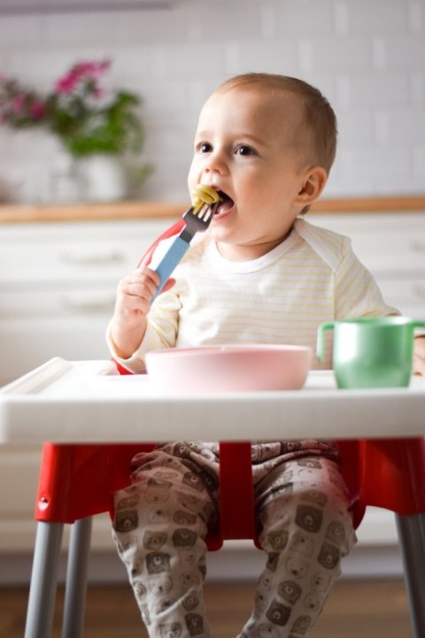 Miseczka-Talerzyk Doidy Bowl z przyssawką - szary